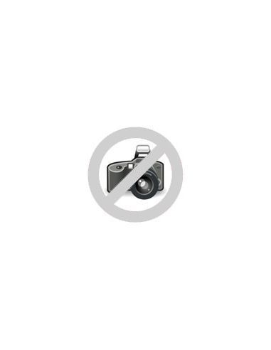 Thermostat 320º pour ARILEX 60PEC