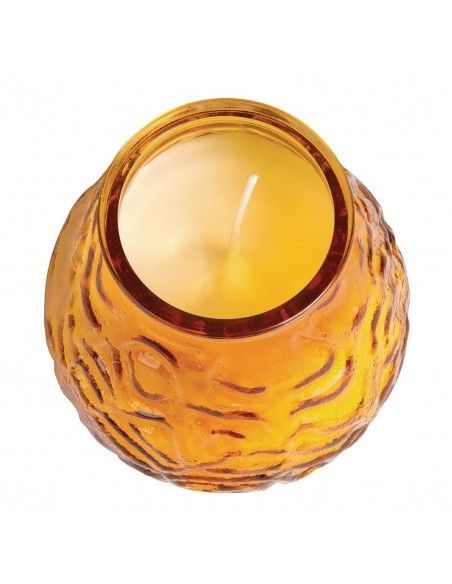 Bougies vénitiennes Bolsius Low Boy ambre (Lot de 12)