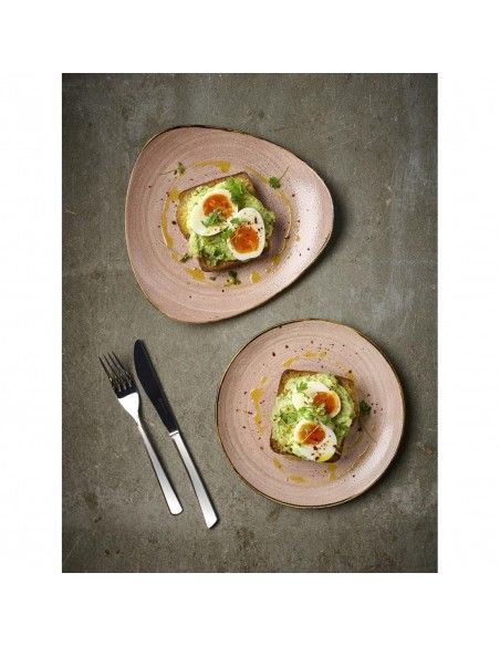 Assiettes avec rebord Churchill Stonecast Raw Terracotta Evolve 286mm (Lot de 12)