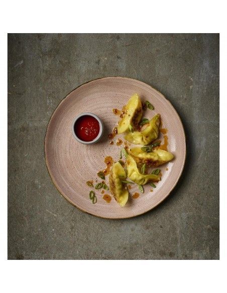 Assiettes avec rebord Churchill Stonecast Raw Terracotta Evolve 165mm (Lot de 12)