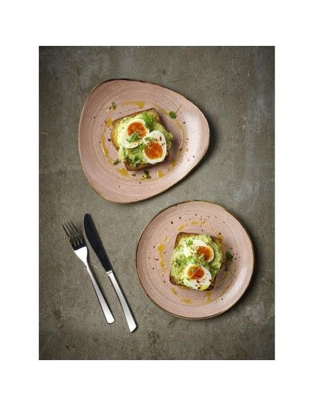 Assiettes avec rebord Churchill Stonecast Raw Terracotta Evolve 165mm (Lot de 12)