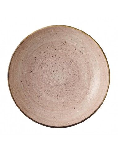 Bols Churchill Stonecast Raw Terracotta Evolve 248mm (Lot de 12)