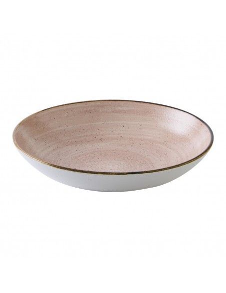 Bols Churchill Stonecast Raw Terracotta Evolve 248mm (Lot de 12)