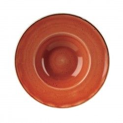 Bols à bord large Churchill Stonecast Spiced Orange 239mm (Lot de 12)