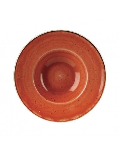 Bols à bord large Churchill Stonecast Spiced Orange 239mm (Lot de 12)