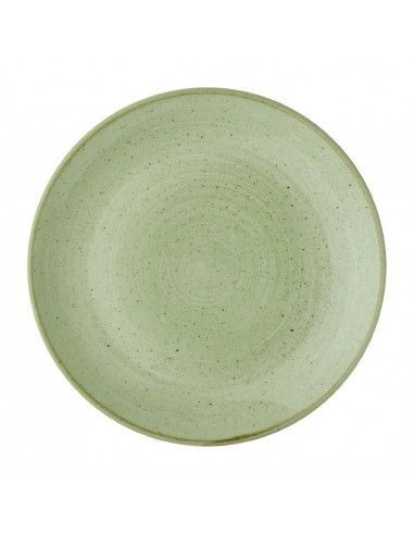 Assiettes avec rebord Churchill Stonecast Sage Green 260mm (Lot de 12)