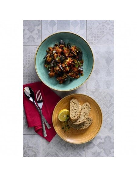Assiettes avec rebord Churchill Stonecast Tangerine 288mm (Lot de 12)