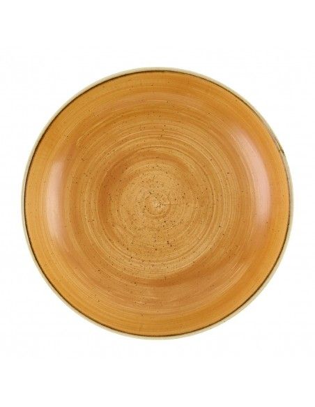 Bols Churchill Stonecast Tangerine 248mm (Lot de 12)