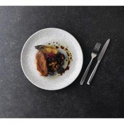 Assiettes rondes Churchill Raku Jasper Grey Evolve 217mm (Lot de 12) 2