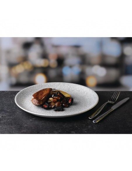 Assiettes rondes Churchill Raku Jasper Grey Evolve 217mm (Lot de 12)