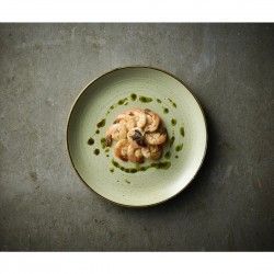 Assiettes avec rebord Churchill Stonecast Raw Green Evolve 260mm (Lot de 12) 2