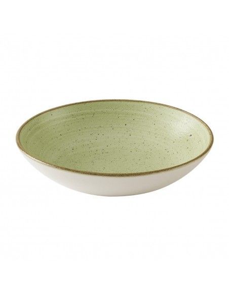 Bols Churchill Stonecast Raw Green Evolves 248mm (Lot de 12)