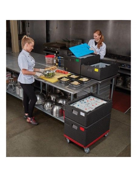 Plaque eutectique froide Cambro GN 1/1