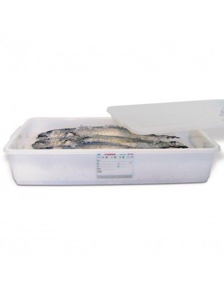 Conteneur alimentaire avec couvercle Araven 40L