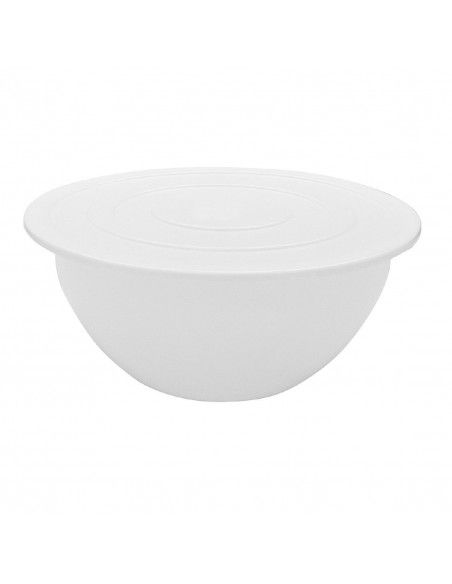 Bassine en polypropylène Schneider 9L