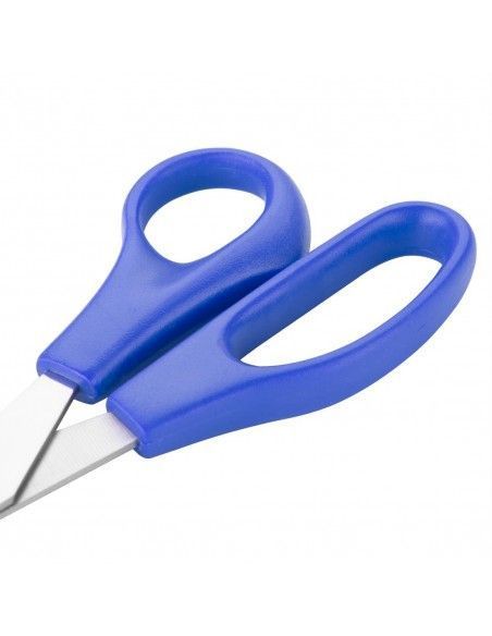 Ciseaux Hygiplas bleus