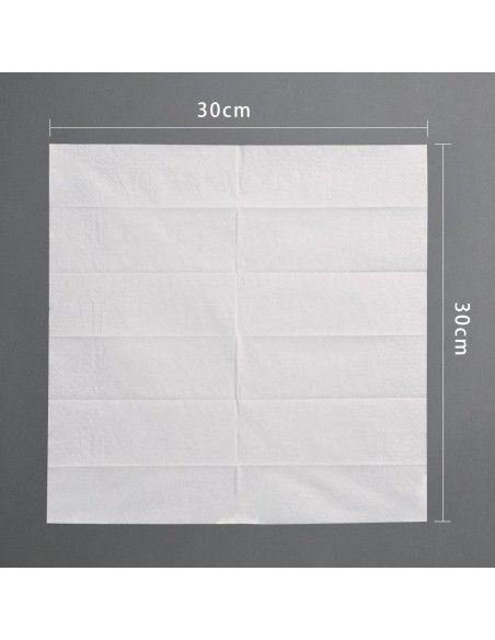 Sachets repas couverts en bois avec serviette Fiesta Compostable (lot de 250)