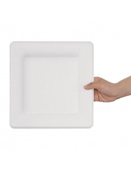 Assiettes carrées en bagasse Fiesta Compostable 261mm (lot de 50)