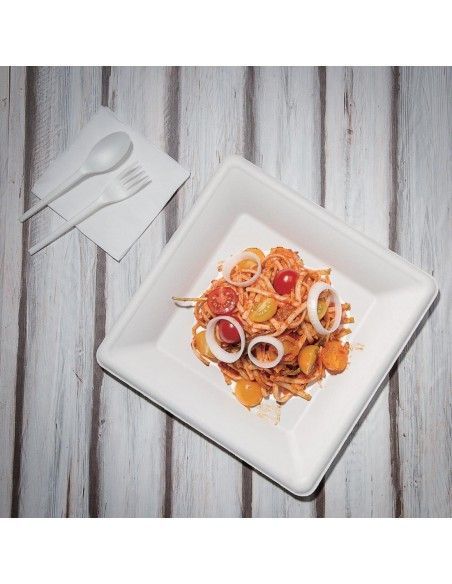 Assiettes carrées en bagasse Fiesta Compostable 261mm (lot de 50)