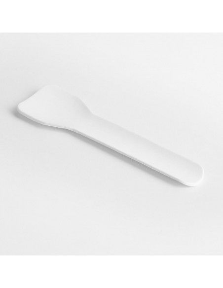 Cuillères à glace en papier Fiesta Compostable 95 mm (lot de 100)