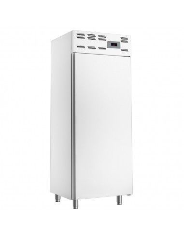 Armoire congelation 14x EN 600x400, statique, (500 Lit.) - Skinplate blanc